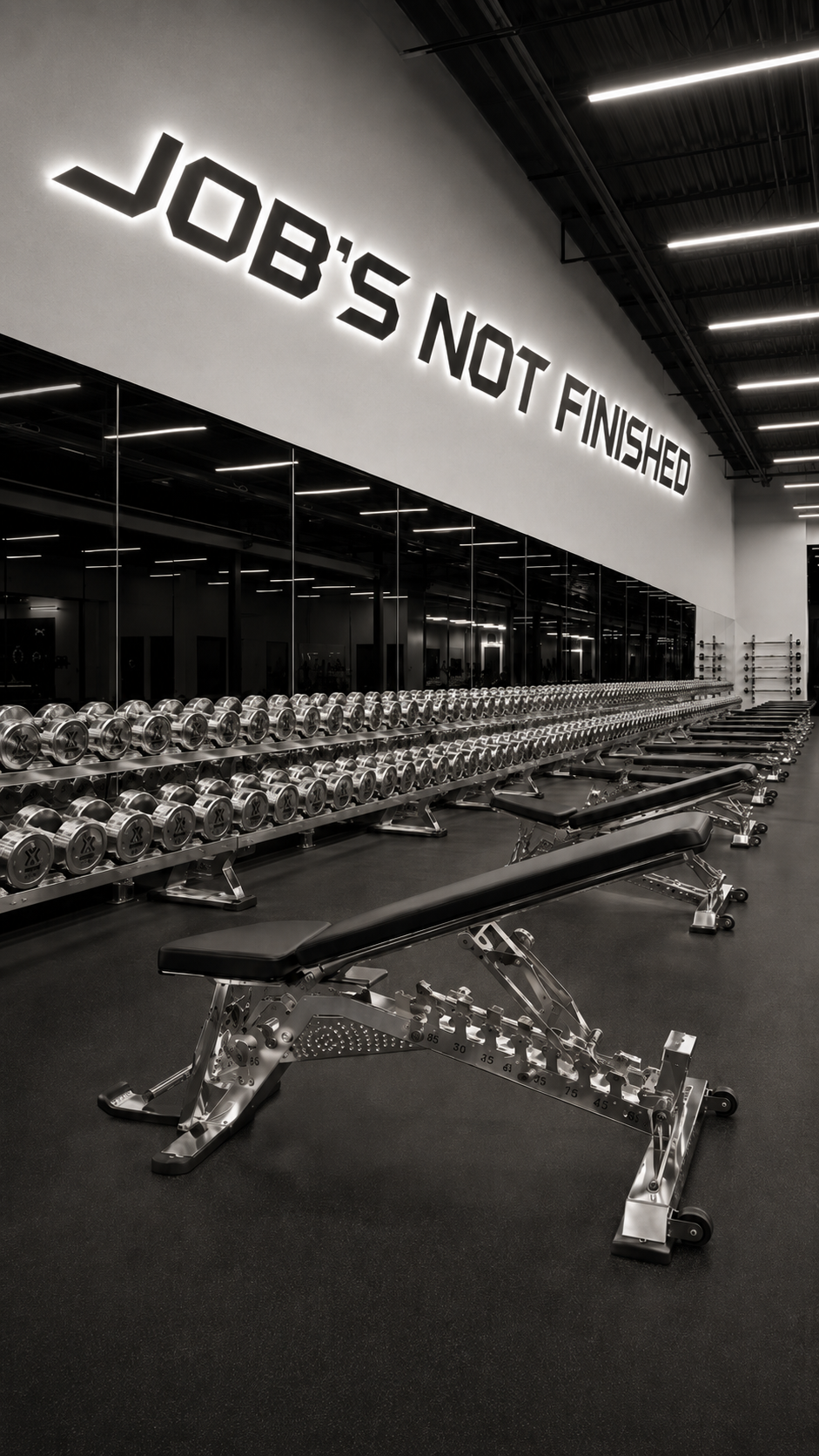 Stainless Steel Dumbbells at LiftHaus Roseville